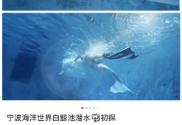 穿梭于星辰大海里的衣——解读衣尚名的内涵与意义