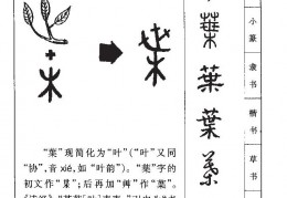 高桂名字的寓意与含义